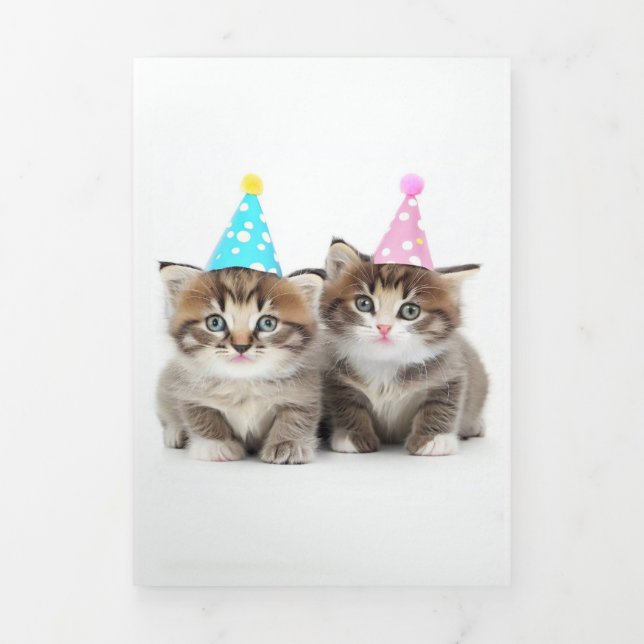 Carte Trois Volets Cute Kittens carte d'anniversaire 2 (Page de couverture)