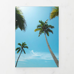 Carte Trois Volets palmiers de plage