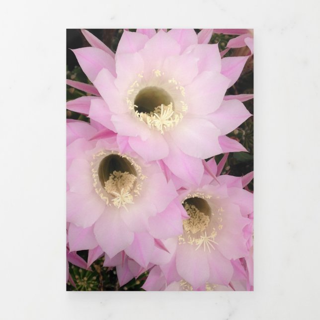 Carte Trois Volets Pétales de désert roses (Page de couverture)