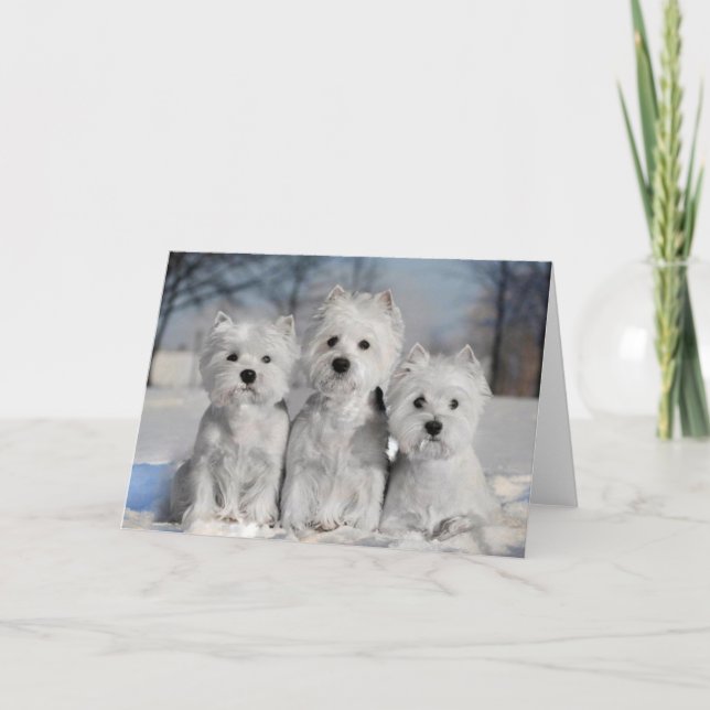 Carte Trois Westies dans la neige (Devant)