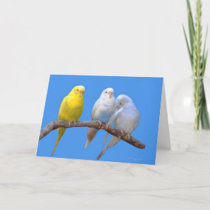 Carte Troisième roue