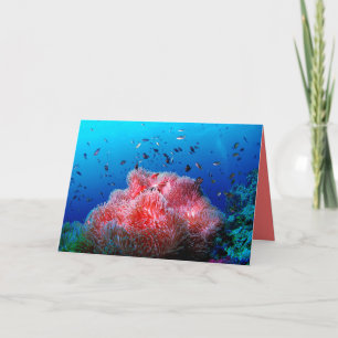 Carte Tropcal Sea Life Pink Glowing Anemone Coral