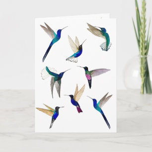 Carte Tropical Hummingbirds