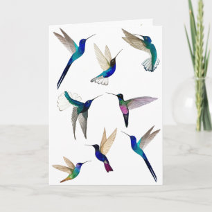 Carte Tropical Hummingbirds