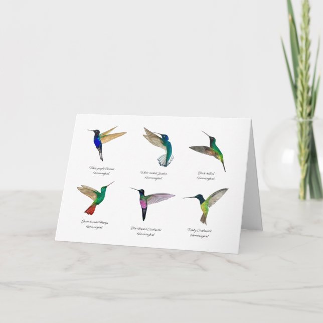 Carte Tropical Hummingbirds (Devant)