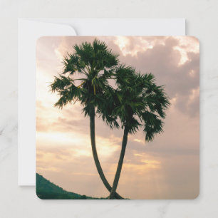 Carte Tropical Paradise Beach Palm Destiny Destiny'S