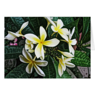 Carte tropicale de Plumeria