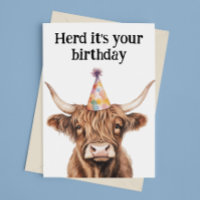 Troupeau de vache Highland C'est ton anniversaire