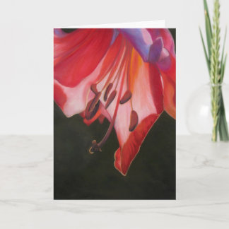 Carte Trumpet Lily