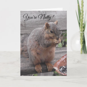 Carte Tu es Nutty et je l'aime   Funny Squirrel Pic