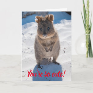 Carte Tu es si mignon Quokka sur la plage de la Saint-Va
