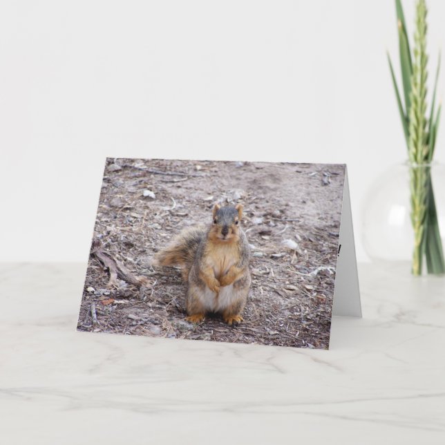 Carte Tu es une noix (Devant)