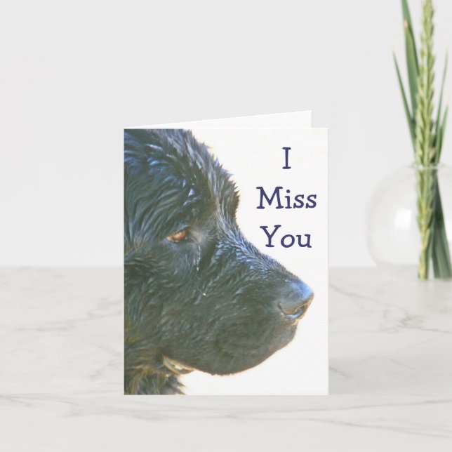 Carte "Tu me manque" beau, Triste-regardant le chien de (Devant)