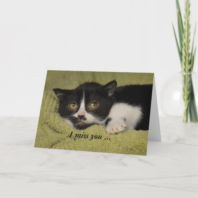 Carte Tu me manque, chaton timide de smoking (Devant)