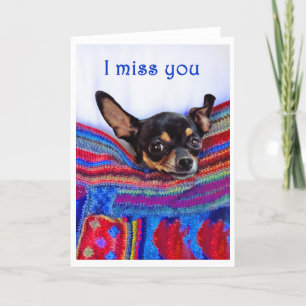 Carte Tu me manques, Chihuahua chien, humour,