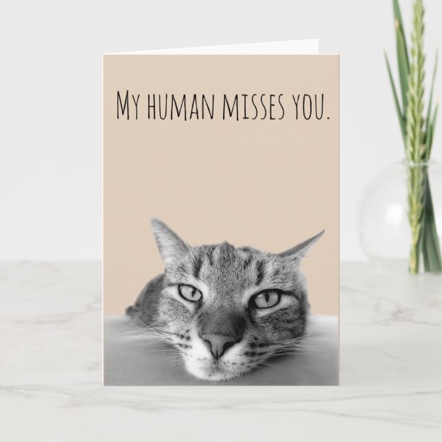 Carte Tu Me Manques De Chat Drôle (Devant)