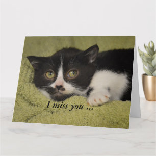 Carte Tu Me Manques, Shy Tuxedo Kitten Card
