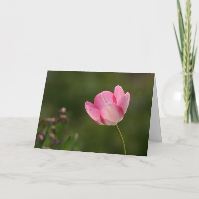 Carte Tuliforme rose (Devant)