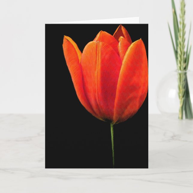 Carte Tulip (Devant)