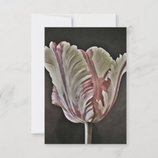Carte Tulip