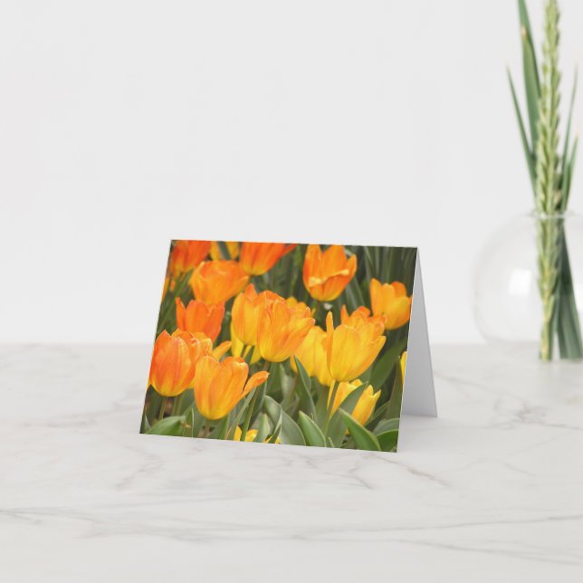 Carte Tulip 'General DeWitt' (Devant)