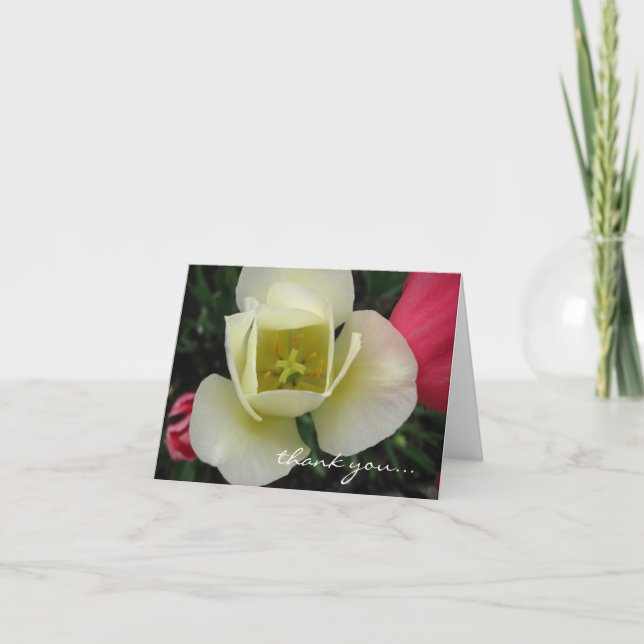 Carte Tulip personnalisable (Devant)