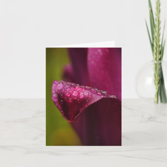 Carte Tulip violet (Devant)