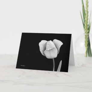 Carte Tulipe avec gouttes de pluie en noir et blanc