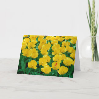 Carte Tulipe Jaune