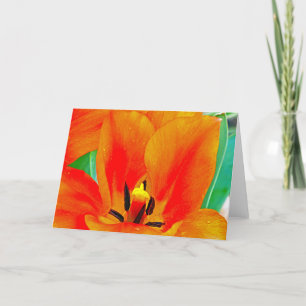 Carte Tulipe orange