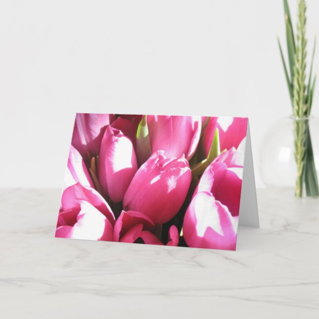 Carte Tulipe rose (Devant)