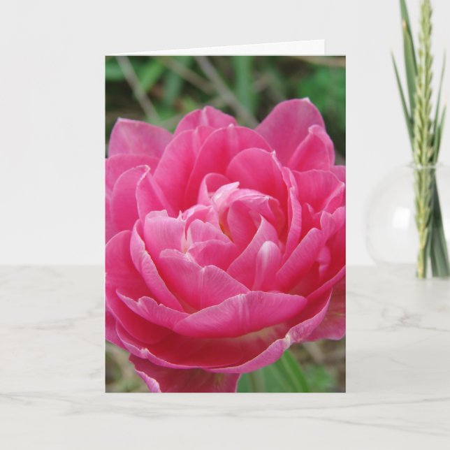 Carte Tulipe rose Fancy, Fête des Mères (Devant)