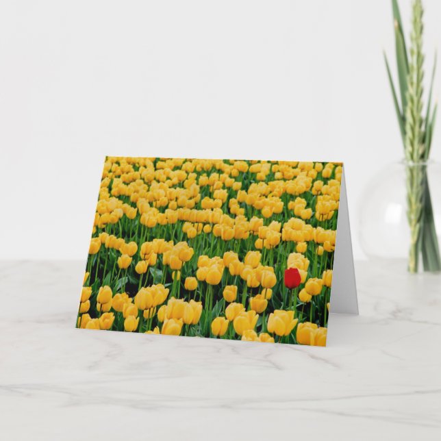 Carte Tulipe rouge dans un champ de tulipe jaune (Devant)