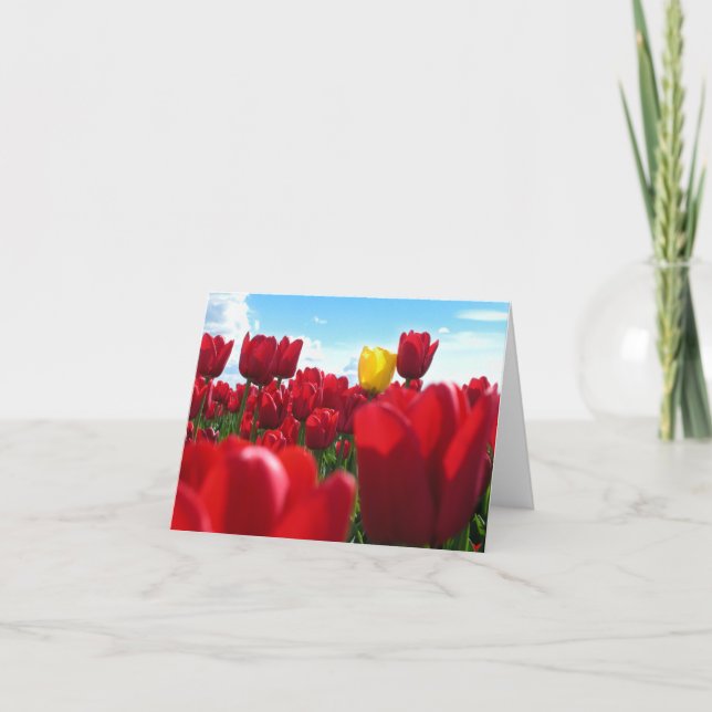 Carte Tulipes (Devant)