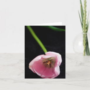 Carte Tulipes 3272