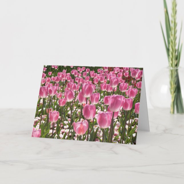 Carte Tulipes Canberra (Devant)