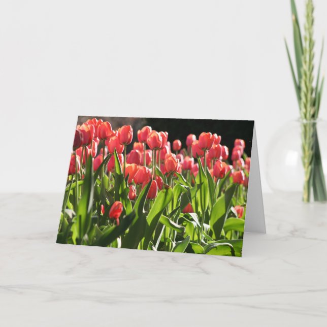 Carte Tulipes dans le jardin public (Devant)