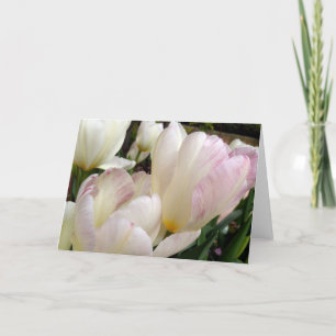 Carte Tulipes de printemps