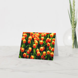 Carte Tulipes de soleil