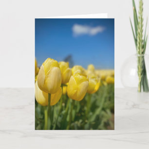 Carte Tulipes Jaunes
