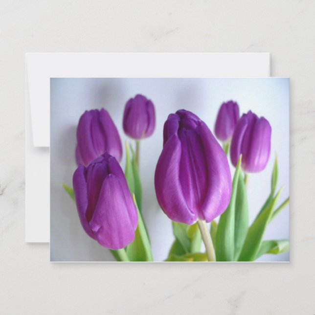 Carte Tulipes pourpres (Devant)