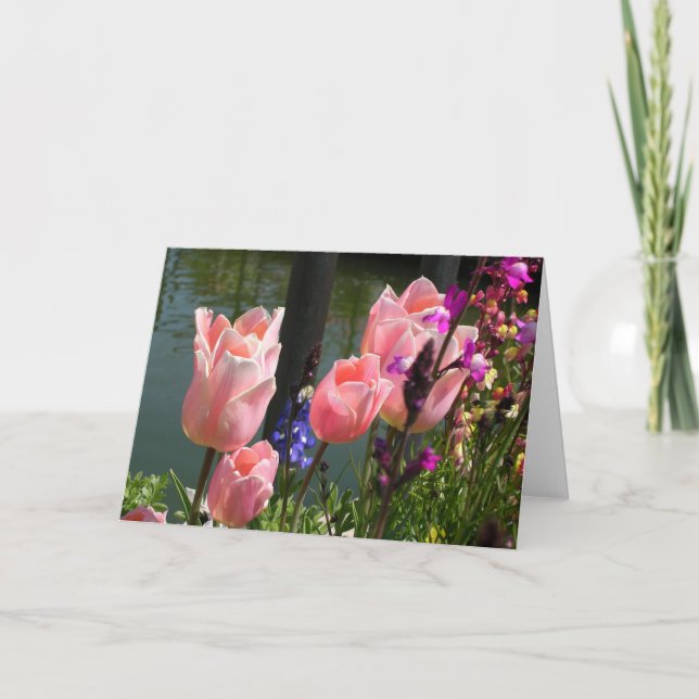 Carte Tulipes roses (Devant)