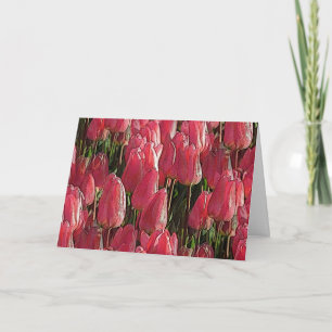 Carte Tulipes roses florales
