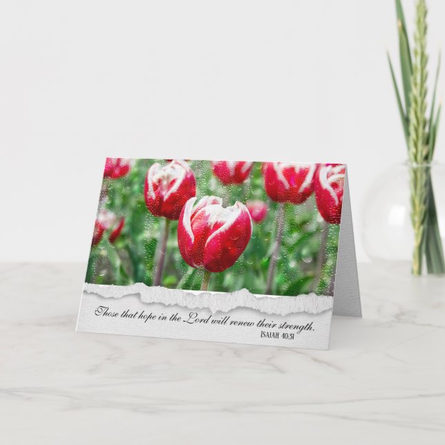 Carte Tulipes rouges et blanches avec la sympathie des g (Devant)