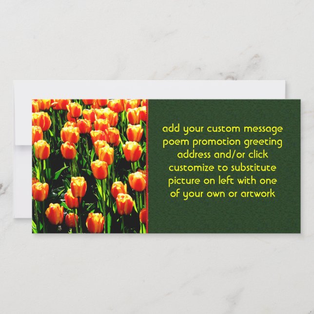 Carte Tulipes solaires (Devant)