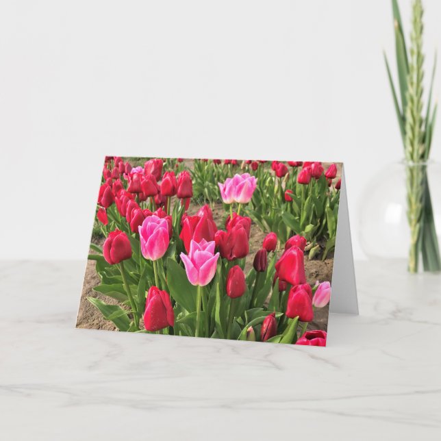 Carte Tulips (Devant)