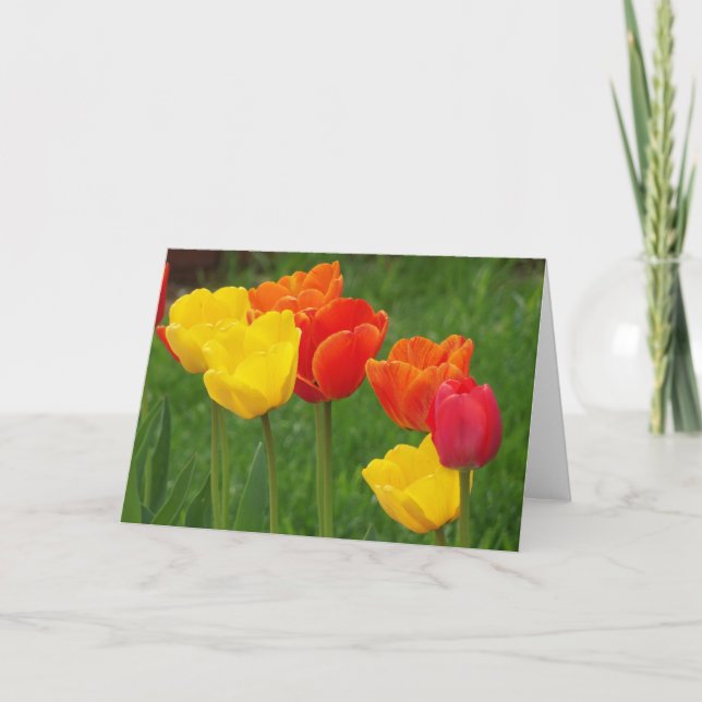 Carte Tulips Brights (Devant)