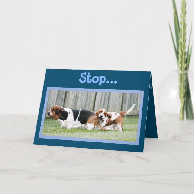 Carte Tulips sur Funny Just Because Card avec Basset Hou (Devant)