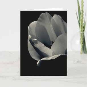 Carte Tulp en noir et blanc