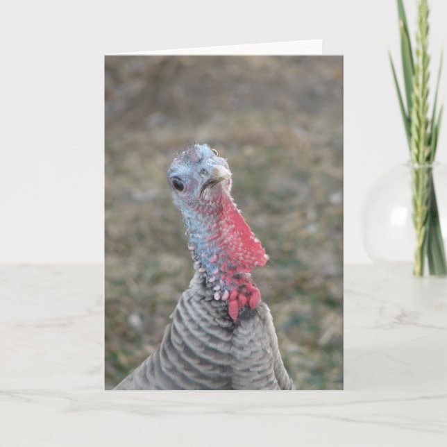 Carte Turk, Turk la Turquie Hen (Devant)
